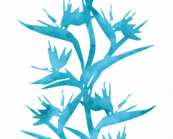 A.S. Création Vliestapete Life Türkis Blau Weiß Floral Blumen 813220